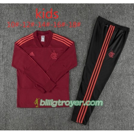 Flamengo Barn Trenings Collegegenser Set Rød 2018/19